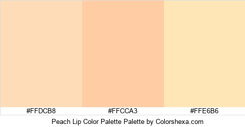 Peach Lip Color Palette Colors Logo