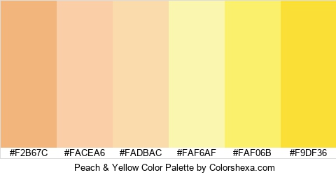 Peach & Yellow Color Colors Logo