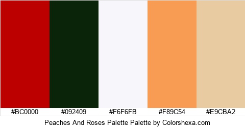 Peaches And Roses Palette Colors Logo