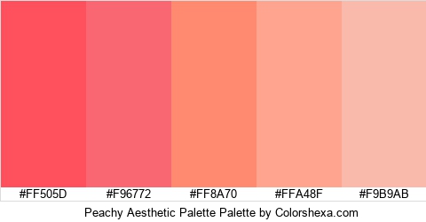 Peachy Aesthetic Palette Colors Logo
