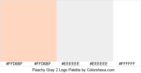 Peachy Gray 2 Logo Colors Logo