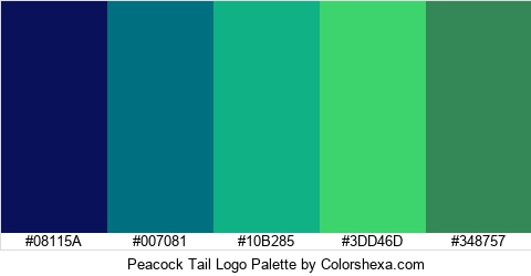 Peacock Tail Logo Colors Logo