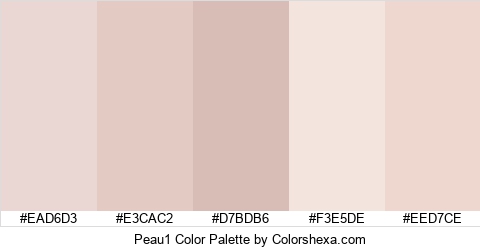 Peau1 Color Colors Logo