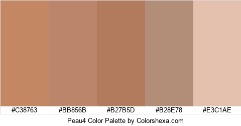 Peau4 Color Colors Logo