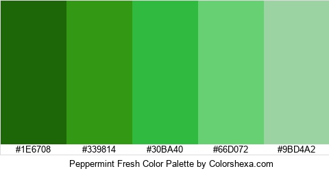 Peppermint Fresh Color Colors Logo