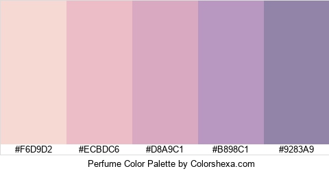 Perfume Color Colors Logo