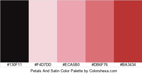 Petals And Satin Color Colors Logo