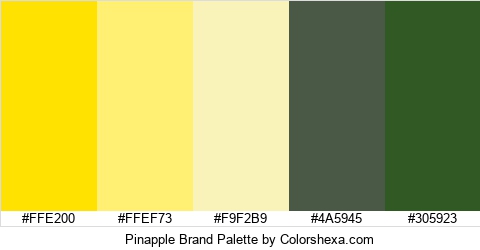 Pinapple Brand Colors Logo