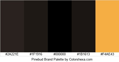 Pinebud Brand Colors Logo