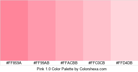 Pink 1.0 Color Colors Logo