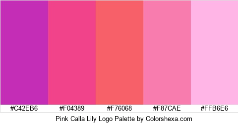 Pink Calla Lily Logo Colors Logo