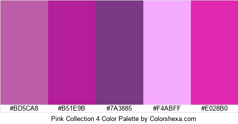 Pink Collection 4 Color Colors Logo