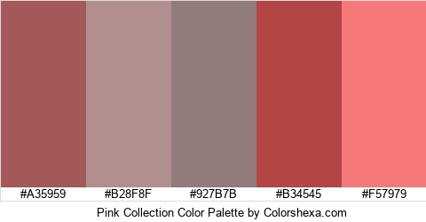 Pink Collection Color Colors Logo