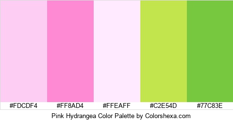 Pink Hydrangea Color Colors Logo