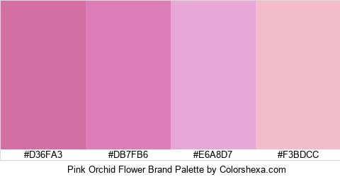 Pink Orchid Flower Brand Colors Logo
