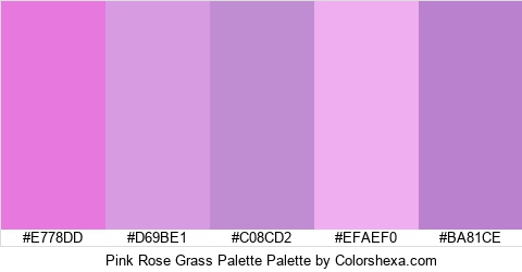 Pink Rose Grass Palette Colors Logo