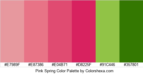 Pink Spring Color Colors Logo
