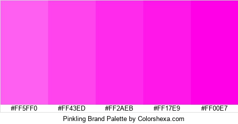 Pinkling Brand Colors Logo