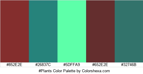 #Plants Color Colors Logo