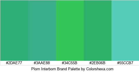 Plorn Interborn Brand Colors Logo