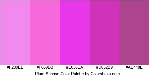 Plum Sunrise Color Colors Logo