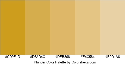 Plunder Color Colors Logo