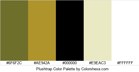 Plushtrap Color Colors Logo