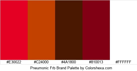 Pneumonic Frb Brand Colors Logo