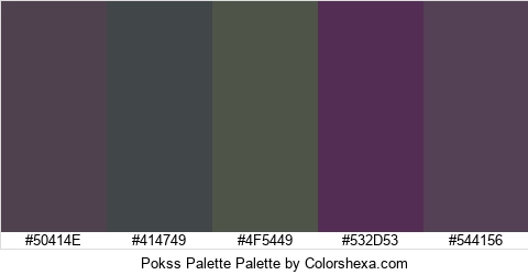 Pokss Palette Colors Logo