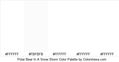 Polar Bear In A Snow Storm Color Colors Logo