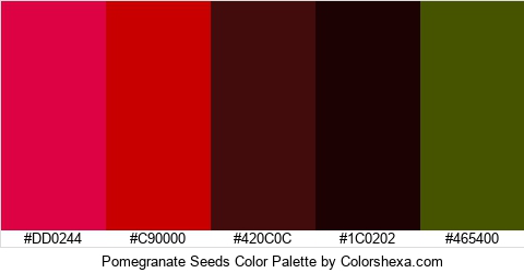 Pomegranate Seeds Color Colors Logo