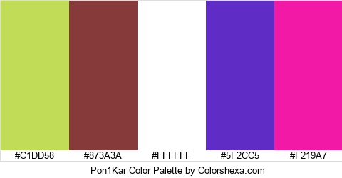 Pon1Kar Color Colors Logo