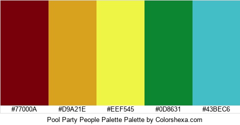 Pool Party People Palette Colors Logo