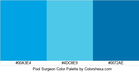 Pool Surgeon Color Colors Logo