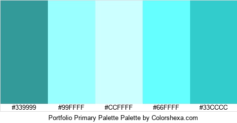 Portfolio Primary Palette Colors Logo