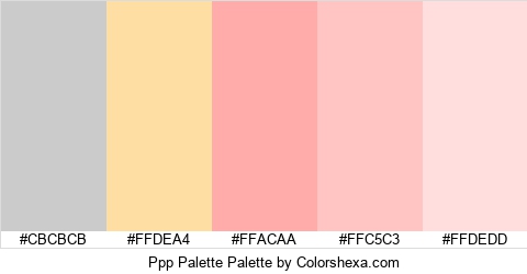 Ppp Palette Colors Logo
