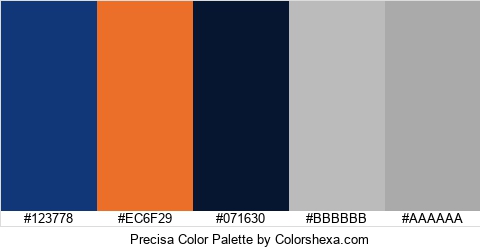 Precisa Color Colors Logo
