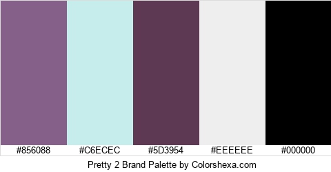 Pretty 2 Brand Colors Logo