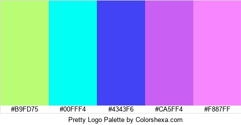 Pretty Logo Colors Logo