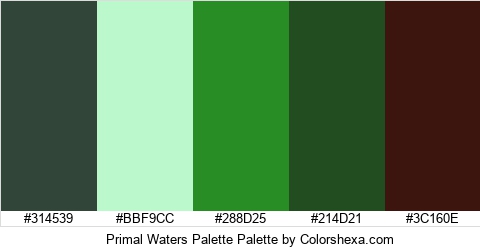 Primal Waters Palette Colors Logo