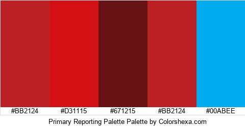 Primary Reporting Palette Colors Logo