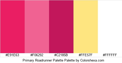 Primary Roadrunner Palette Colors Logo