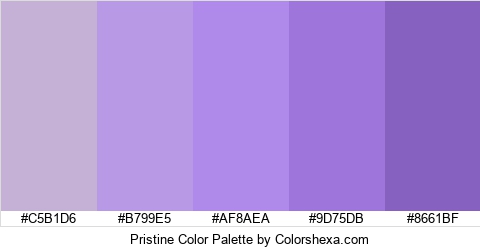 Pristine Color Colors Logo