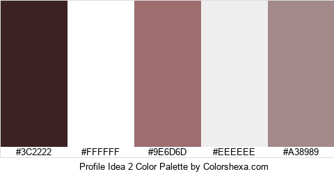 Profile Idea 2 Color Colors Logo