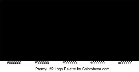 Promyu #2 Logo Colors Logo