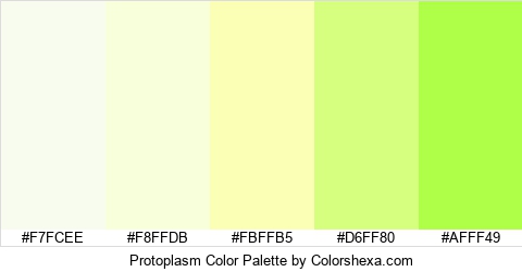 Protoplasm Color Colors Logo