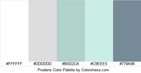 Prudens Color Colors Logo