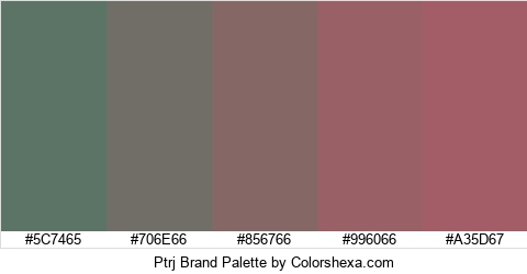 Ptrj Brand Colors Logo