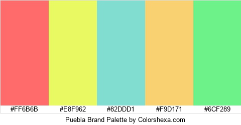 Puebla Brand Colors Logo