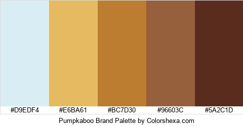 Pumpkaboo Brand Colors Logo